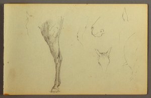 Dessin, Études de chevaux, peut-être 1844 - Frederic Edwin Church