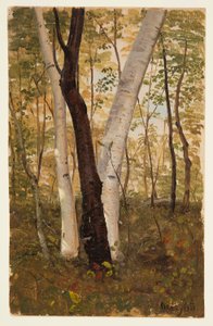 Dessin, Dans les bois, Hudson, New York, octobre 1865 - Frederic Edwin Church