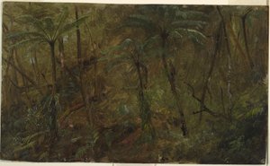 Dessin, Dans les bois de Jamacia, Antilles, 1865 - Frederic Edwin Church
