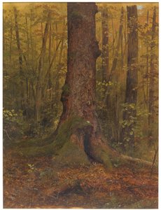 Dessin, Dans les bois, probablement dans le Maine, 1850-60 - Frederic Edwin Church