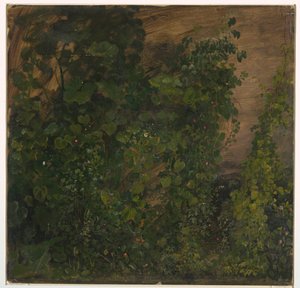 Dessin, Végétation de la jungle, 1865 - Frederic Edwin Church