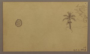 Dessin, paysage ; verso : arbre dans un paysage, ciel, mai-août 1865 - Frederic Edwin Church