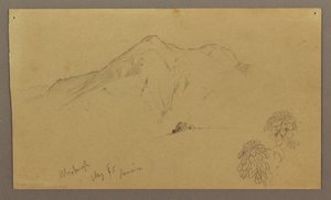 Dessin, paysage, plantes, Bloxburgh, août 1865 - Frederic Edwin Church