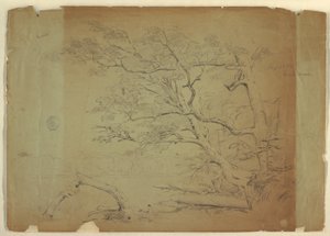 Dessin, Paysage avec des arbres et un ruisseau [ ], île de Grand Manan, Canada, septembre 1851 - Frederic Edwin Church