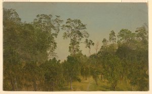 Dessin, paysages, juillet 1865 - Frederic Edwin Church