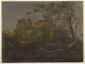 Dessin, forêt du Maine, 1845-55 - Frederic Edwin Church