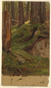 Dessin, Maine  bois, 1855-65 - Frederic Edwin Church