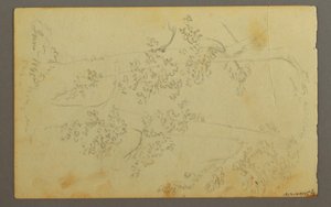 Dessin, moulin entouré d