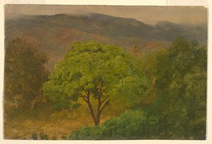 Dessin, paysage de montagne, août 1865 - Frederic Edwin Church