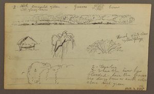 Dessin, chaînes de montagnes "entrant dans Guayaquil" ; verso : rive du fleuve, croquis botaniques, peut-être 1857