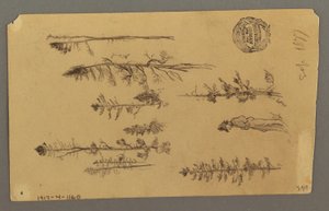 Dessin, sommet de la montagne, 1877 - Frederic Edwin Church