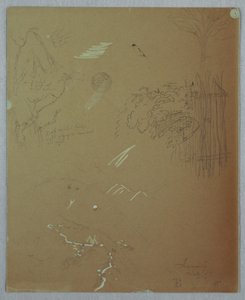 Dessin, études de la nature, montagnes bleues, Jamaïque, juillet 1865