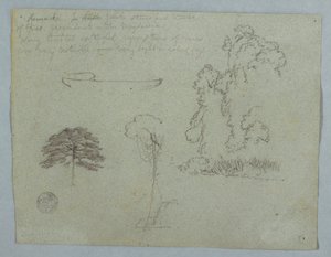 Dessin, Études de la nature du Rio Magdalena, Colombie :  Arbres, lianes et canoë, mai 1853 - Frederic Edwin Church