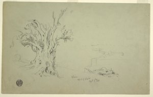 Dessin, Olivier, Mont d