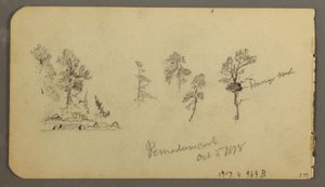 Dessin, études sur le pin, 1878 - Frederic Edwin Church