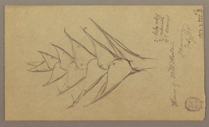 Dessin, paysage marin, 29 avril 1865 - Frederic Edwin Church