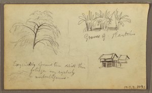 Dessin, coin de rue à Guaquil, Équateur ; Verso : croquis botaniques, maison, Équateur ou Colombie, 1857 - Frederic Edwin Church