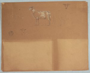 Dessin, études de moutons, Équateur ou Colombie, 1853 - Frederic Edwin Church
