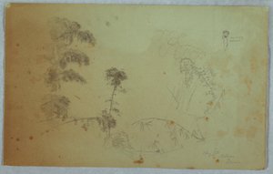 Dessin, études d