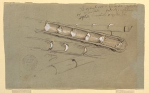 Dessin, Étude de bambou, juin 1857 - Frederic Edwin Church