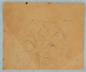 Dessin, arbre ; verso : vue d