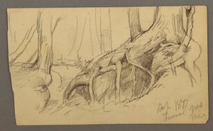 Dessin, racines d