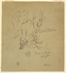 Dessin, Arbres Obersee dans les Alpes bavaroises ou méridionales, septembre 1868