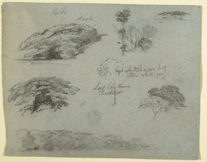 Dessin, Arbres, cimes des arbres et banc boisé, Saddleback, Maine, 1853 - Frederic Edwin Church