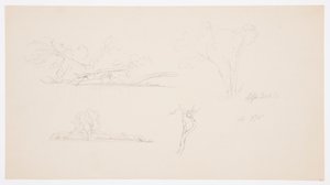 Dessin, Arbres, un rivage avec des buissons et des arbres, septembre 1876
