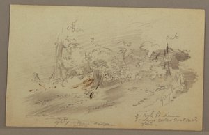 Dessin, arbres, peut-être années 1860