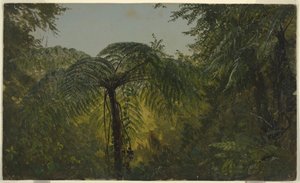 Dessin, paysage tropical, juin ou juillet 1865 - Frederic Edwin Church
