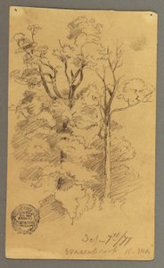 Dessin, Deux arbres, 1877