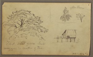 Dessin, Vue de Guayaquil, Équateur, 23 mai 1857 - Frederic Edwin Church