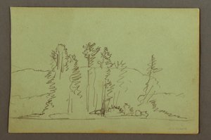 Dessin, rive boisée d