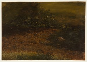 Dessin, ruisseau de forêt dans les Catskills, septembre 1848 - Frederic Edwin Church