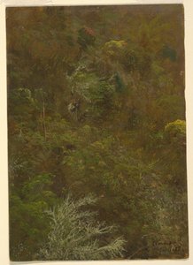 Colline avec arbres, Jamaïque