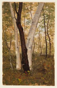 Dans les bois, Hudson, New York