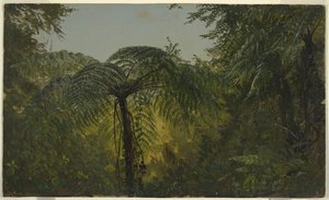 Feuillage de Jungle, Jamaïque