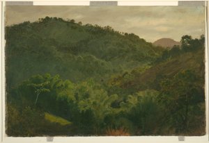 Paysage de la Jamaïque