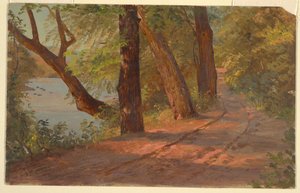Paysage d