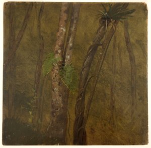 Paysage en Jamaïque - Frederic Edwin Church