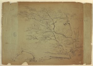 Paysage avec arbres et ruisseau [?], Île Grand Manan, Canada