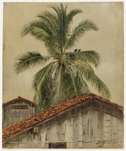Palmiers et cimes des maisons, Équateur - Frederic Edwin Church