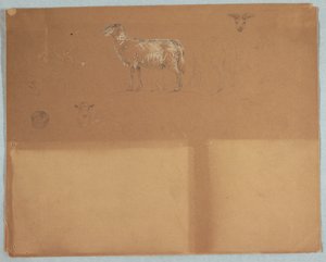 Études de moutons, Équateur ou Colombie - Frederic Edwin Church