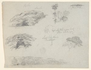 Arbres, Cimes des Arbres, et une Berge Boisée, Saddleback, Maine