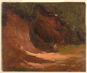 Bord de forêt, Jamaïque - Frederic Edwin Church