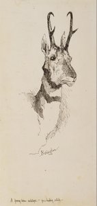 Une antilope de Pronghorn - Frederic Remington