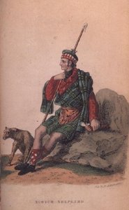 Le berger écossais d