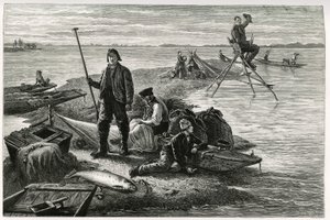 Pêche au saumon. Gravure par F.Lix, pour illustrer le récit « À travers l