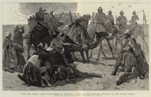 Avec le Corps de Chameaux de Sarass à Dongola, une halte de l